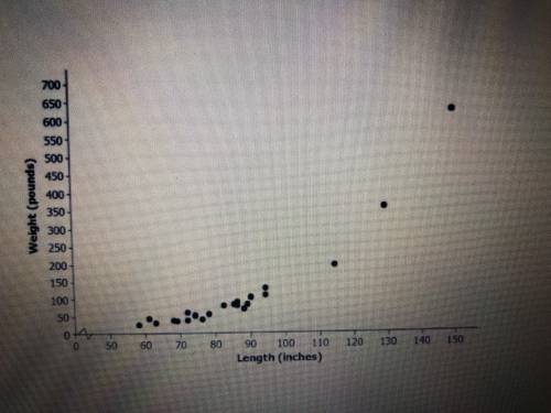 Which statement describes the association in this scatterplot?

A) positive linear association
B)