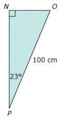 If cos 67° is close to 25, which is closest to the length of NO

Options 
2 centimeters
20 centime
