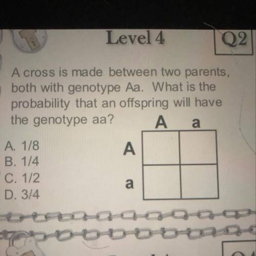 A cross is made between two parents,

both with genotype Aa. What is the
probability that an offsp