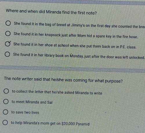 I need help wit these 2 questions ​