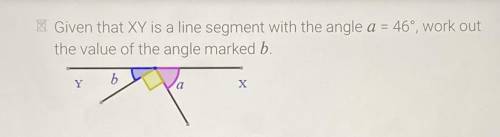 Given that XY is a line segment which the angle a=46 work out the the value of the angle marked b