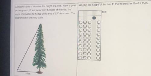 A student wants to measure the height of a tree. From a point What is the height of the tree to the