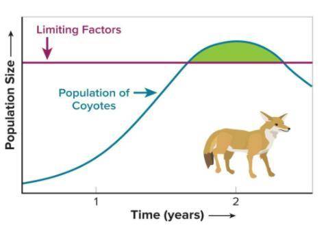 -QUESTION 6-PART 2-

Which of the following explains what happened to the coyote population size w