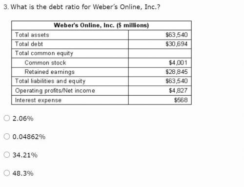 What is the debt ratio for Weber’s Online, Inc.?

2.06%
0.04862%
34.21%
48.3%