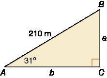You hike 210 meters up a steep hill that has a degree angle of elevation as shown in the diagram.