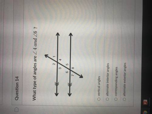 Please help
What type of angles...