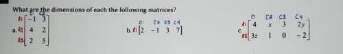 What are the dimensions of each the following matrices?​