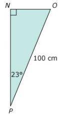 If cos 67° is close to 25, which is closest to the length of NO?

Options
2 centimeters
20 centim