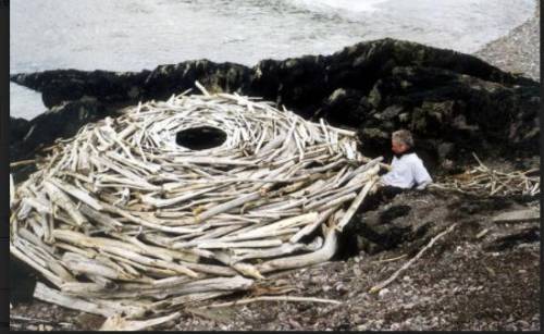 please hurry 20 pts Critique the artwork attached by Andy Goldsworthy. What is the subject and medi