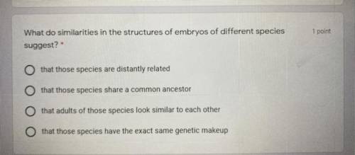 What do similarities in the structures of embryos of different species
suggest?