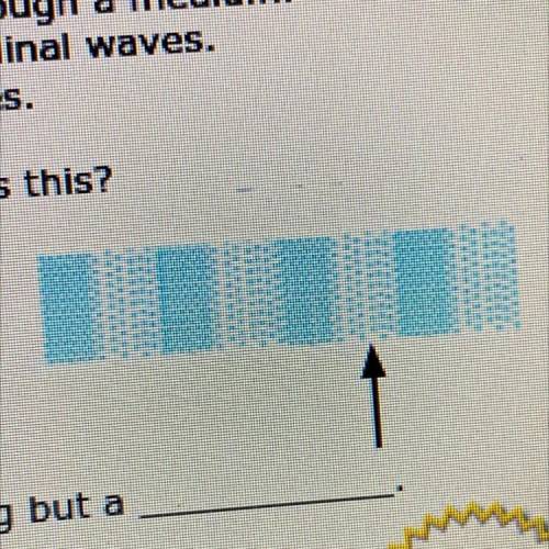 Which region of a longitudinal wave is this?

A. Rarefaction
B. Diffusion
C. Compression
D. Diffra