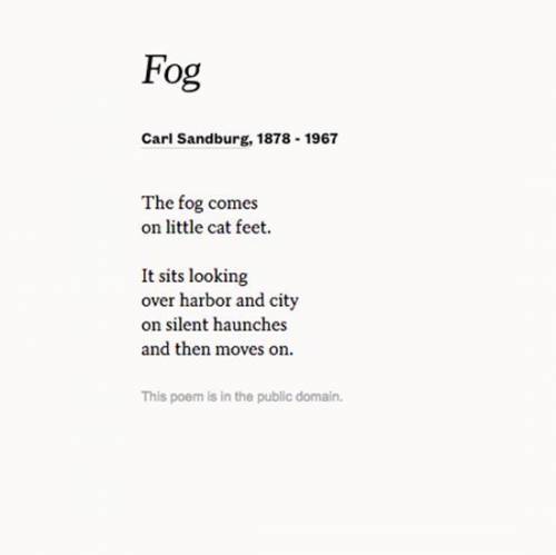 The following poem, “Fog,” by Carl Sandburg is a good example of what?

1. Personification
2.Repet