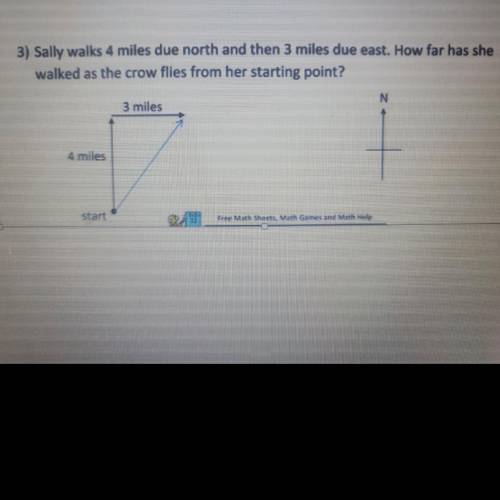 Please help me with this homework I really need help