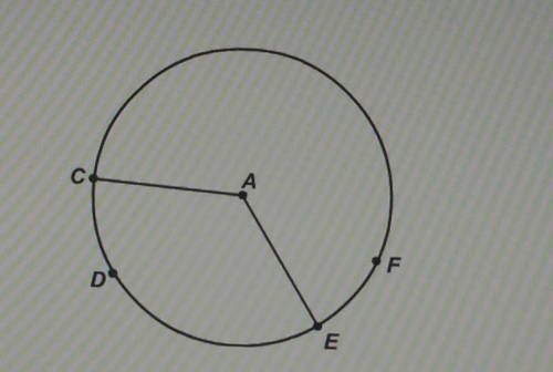 PLEASE PLEASE HELP

in circle a, the measure of arc CFE is 250 degrees. the measure of angle CAE i