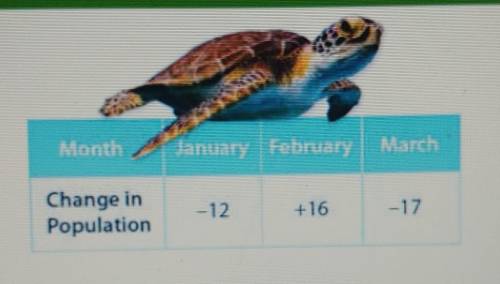 A marine rescue center starts the year with 44 sea turtles. of The table shows how the sea turtle p