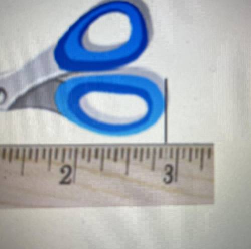 Measure the scissors to the nearest 1/8 inch (look at pic)

A. 3 inches
B. 2 /78 inches
C. 2 5/8 i