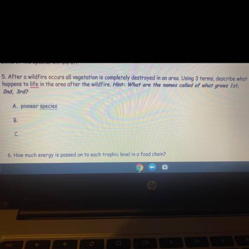 PLEASE answer the rest of question five ASAP