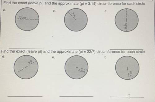 Find the exact (leave pi) and the approximate ( pi = 3.14 ) circumference for each circle

(#s A-F