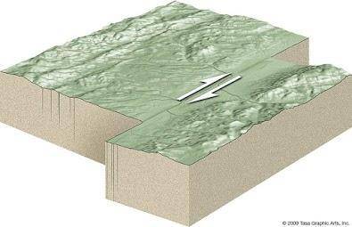 The following is an example of which type of boundary?

A subduction zone
B convergent boundary
C
