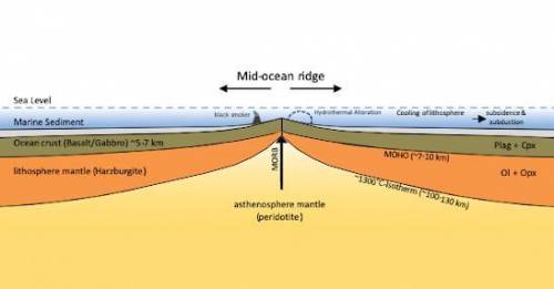 The following is an example of which type of boundary?

A Subduction zone
B Convergent Boundary
C