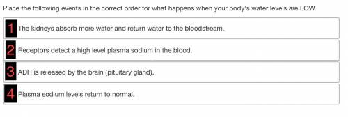 Place the following events in the correct order for what happens when your body's water levels are
