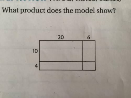 What product does the model show