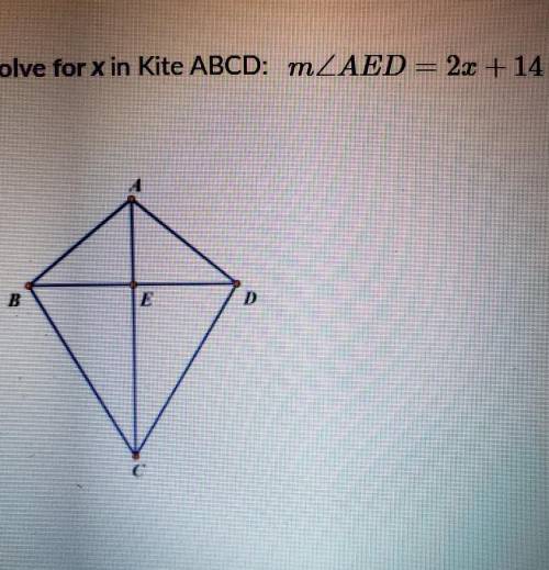 Solve for x in kite ​