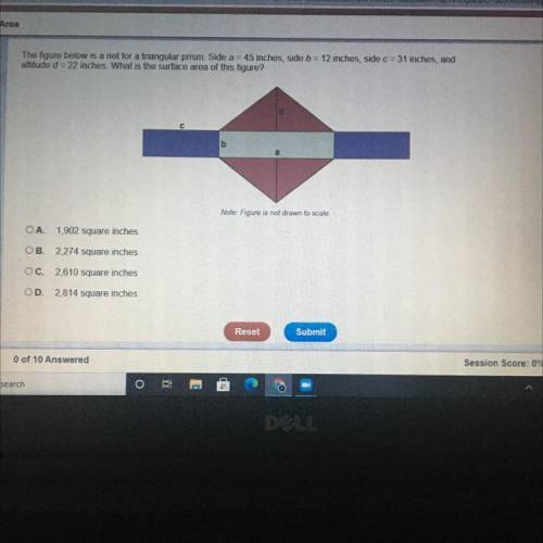 Please help I’m so confused on what to do