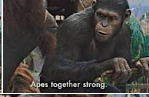 Apes. together. strong