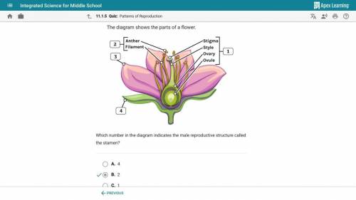 The diagram shows parts of a flower. (i put the answer in the pic)

Which number in the diagram in