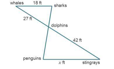 If the distance from the Sharks to the dolphins is 12ft, what is the distance from

the Dolphins t
