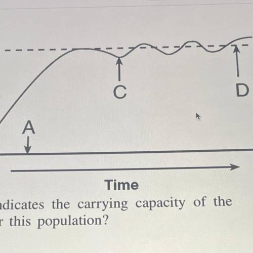 The growth of a population is shown in the graph below. Which letter indicates the carrying capacit