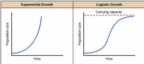 Analyze the graphs below. Squirrels arrive on a new island, with no way to leave. Which growth mode