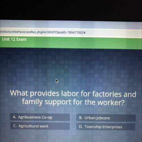 What provides labor for factories and

family support for the worker?
A. Agribusiness Co-op
B. Urb