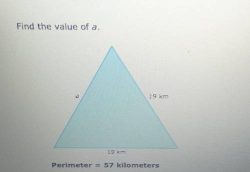 Find the value of a. 19 km 19 km Perimeter = 57 kilometers​