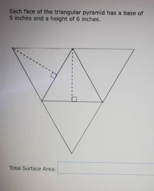 each base of a triangular pyramid has a base of 5 in and a height of 6 in what is the total surface