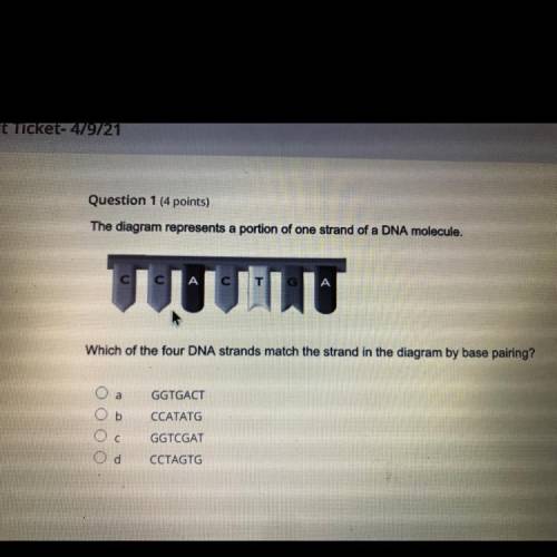 Question

Question 1 
The diagram represents a portion of one strand of a DNA molecule.
С
с
LT
Wh