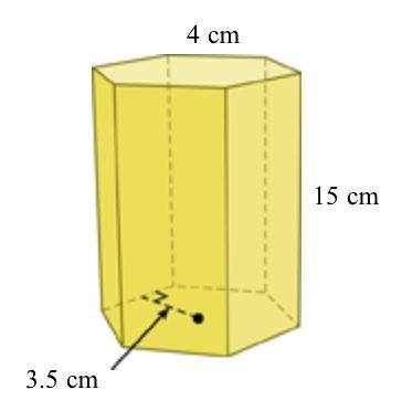 Find the surface area of the regular hexagonal prism.