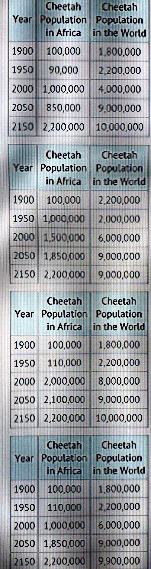 This bar graph shows the cheetah population of Africa and the world in the past as well as the proj
