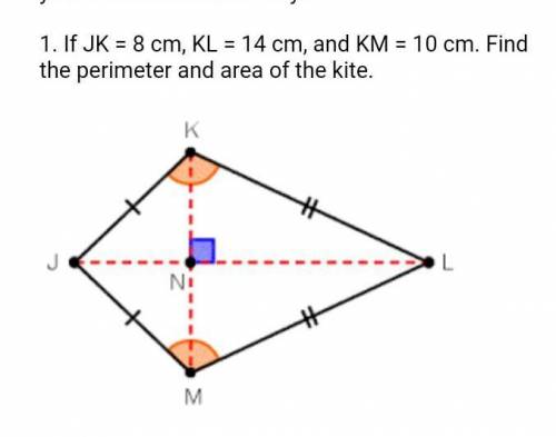 Find the perimeter and area of the kite. pls​