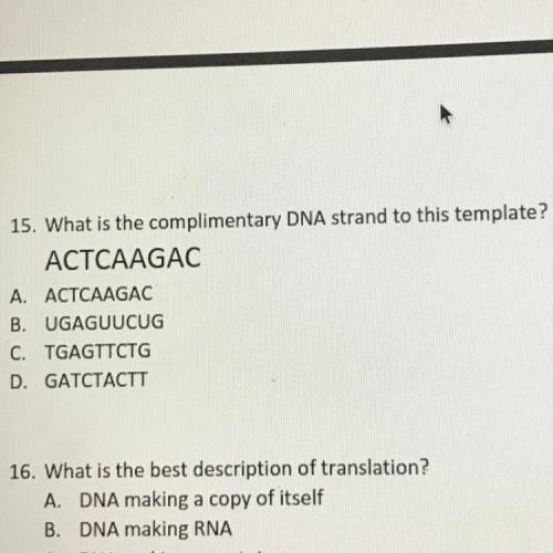 What is the complimentary DNA strand to this template? 
ACTCAAGAC