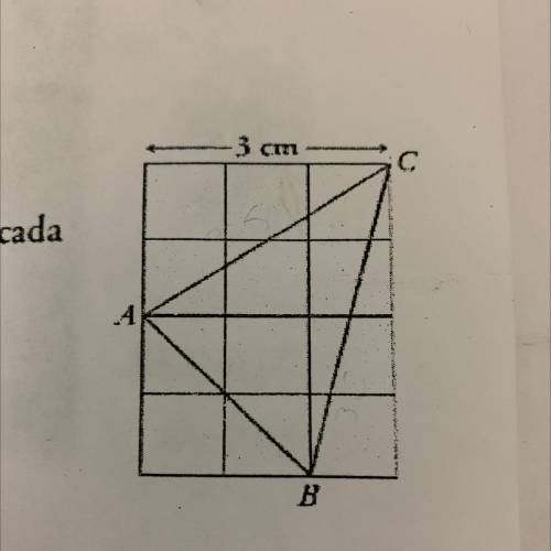 AAA Calcula el perímetro del triángulo ABC.

(NOTA: Aproxima hasta las décimas la medida de cada
l