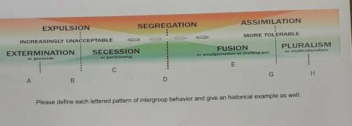 Please define each lettered pattern of intergroup behavior and give an historical example as well​