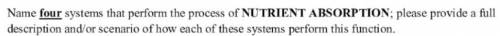 Name 4 systems that perform the process nutrient absorption