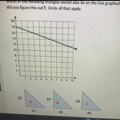 HELP

Which of the following triangles could lie on the line graphed above? Circle all that apply