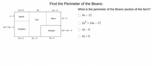 Find the perimeter of the beans :))