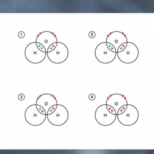 Look at the diagram. Which shows the correct arrangement of electrons in water?