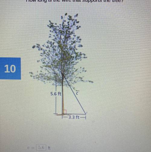 How long is the wire that supports the tree?
5.6 ft
3.3 ft