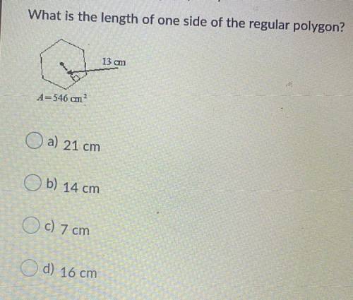 I need help for my quiz please