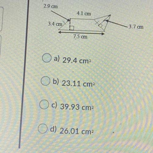 I need help for my quiz